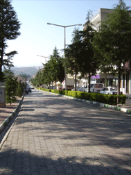 foto12