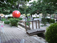 foto8