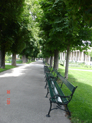 foto7